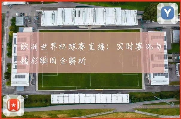 欧洲世界杯球赛直播：实时赛况与精彩瞬间全解析