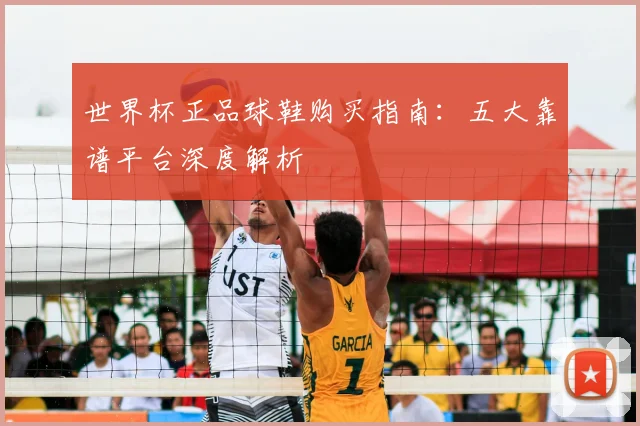 世界杯正品球鞋购买指南：五大靠谱平台深度解析