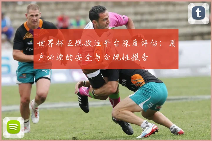 世界杯正规投注平台深度评估：用户必读的安全与合规性报告