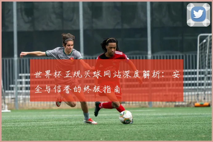 世界杯正规买球网站深度解析：安全与信誉的终极指南