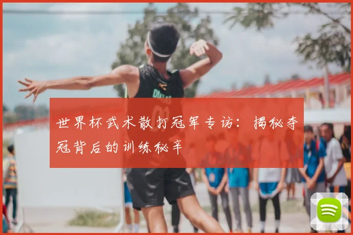 世界杯武术散打冠军专访：揭秘夺冠背后的训练秘辛