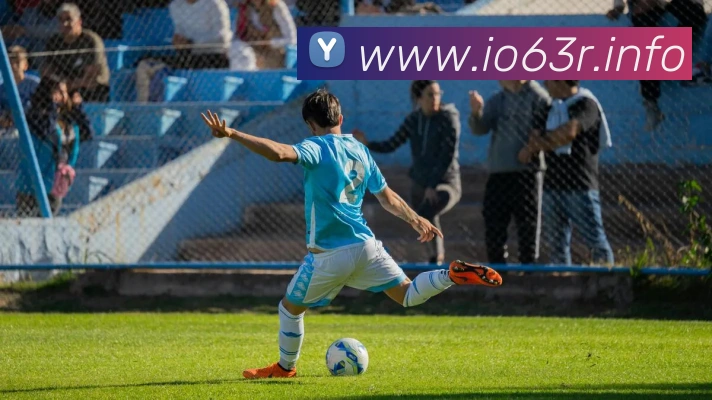 九游入口官网登录平台生态图